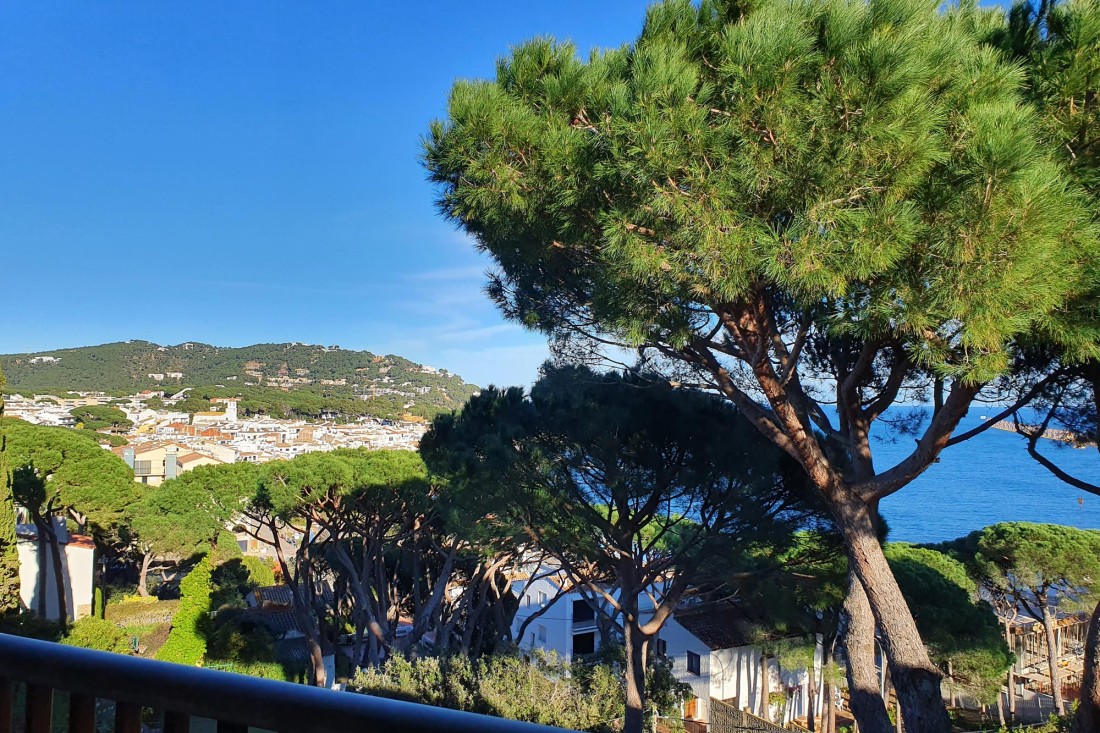 Apartament Sant Roc