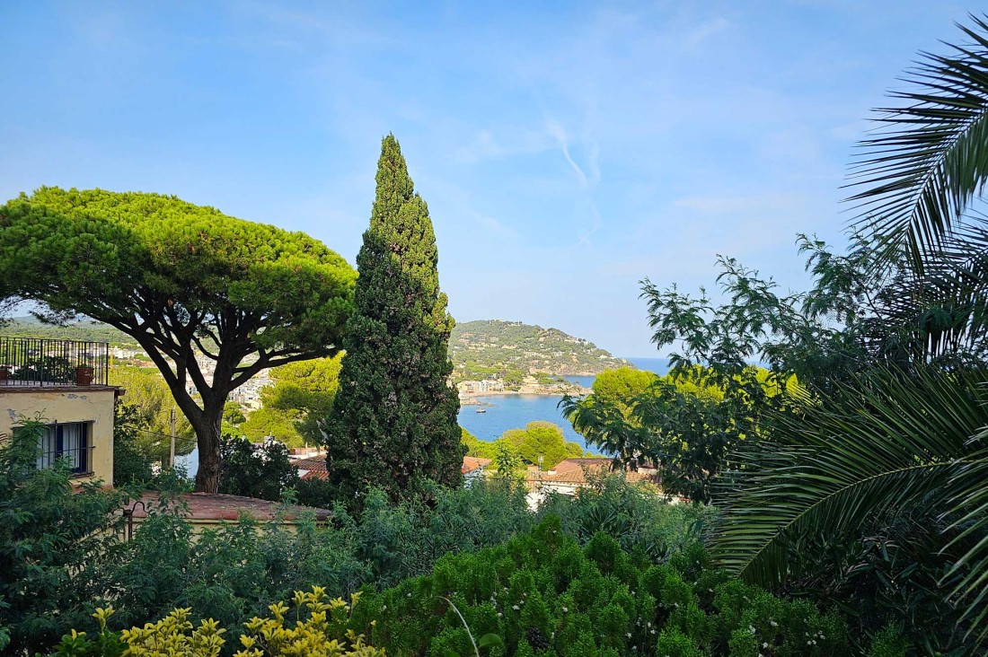 Vista al mar amb jardí